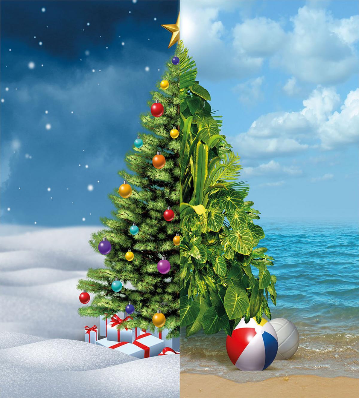 Tropic and Winter Noel — Pattern