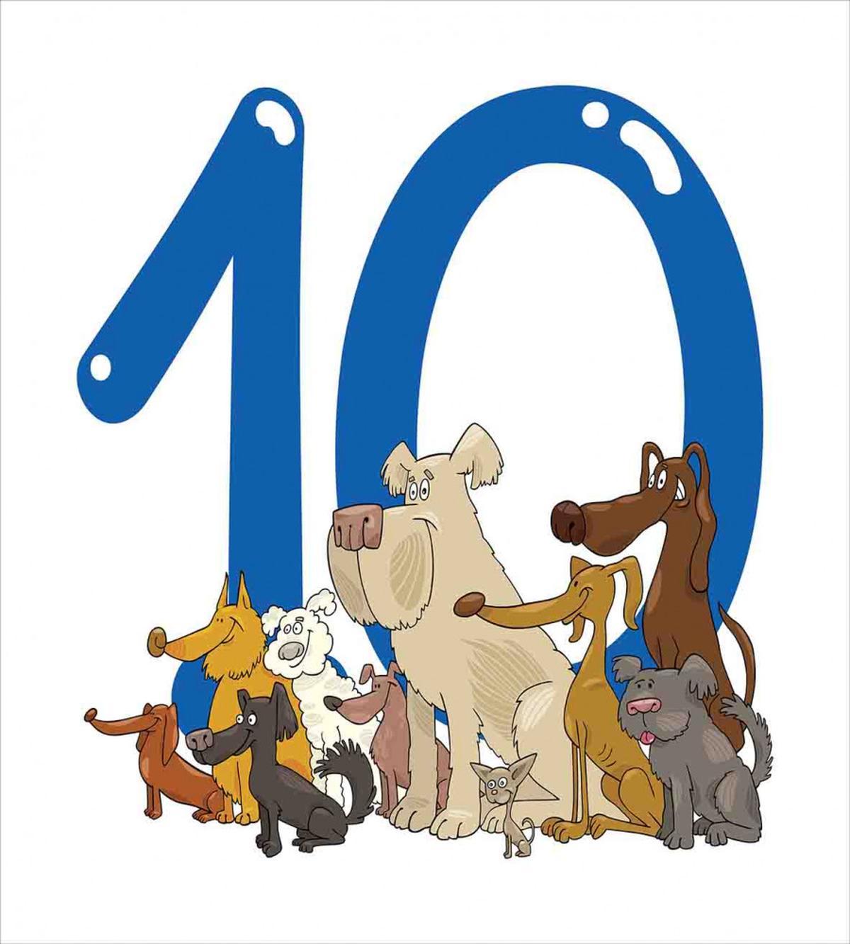 Street Dogs Puppies — Pattern
