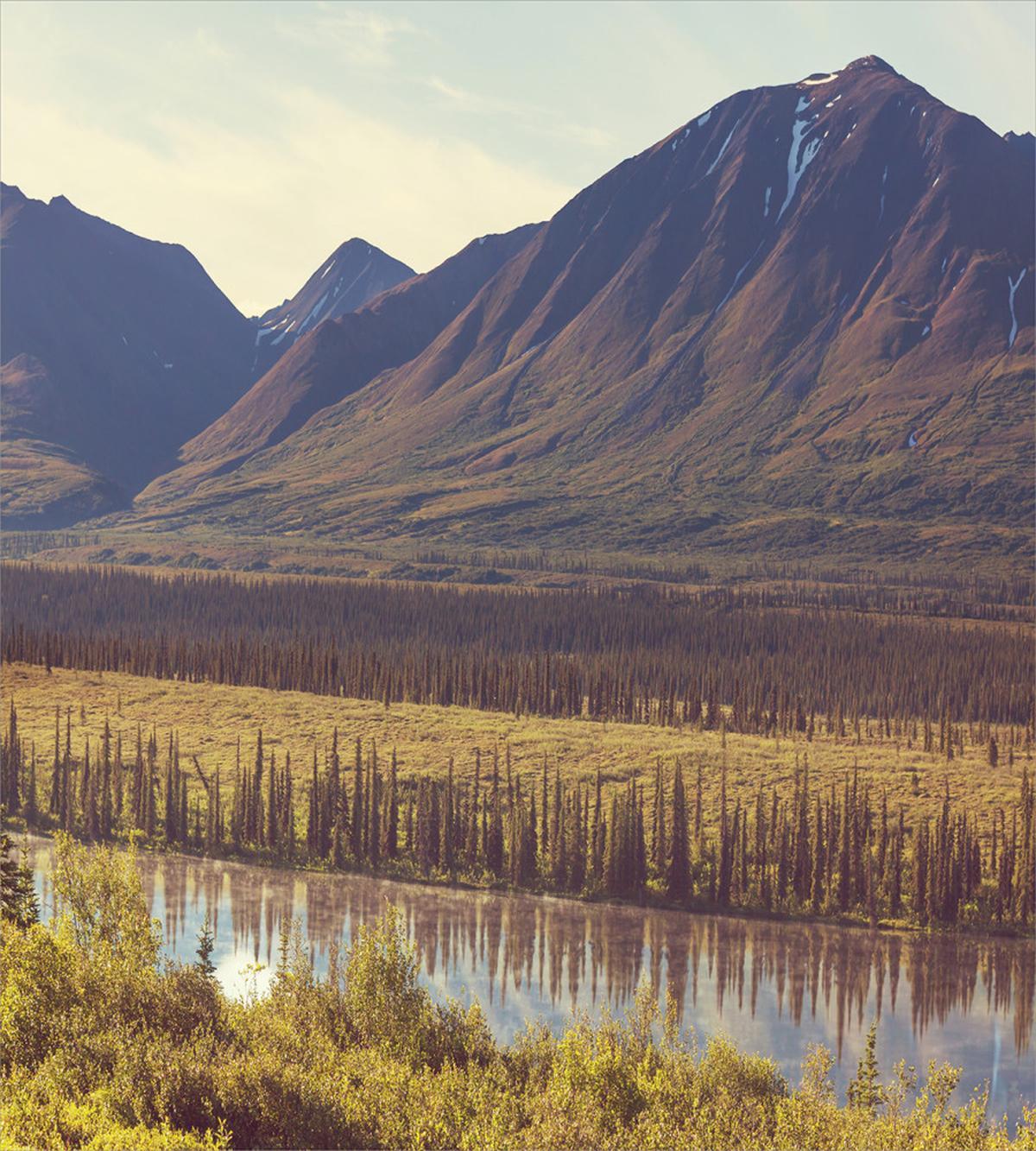 Idyllic Rustic Photo — Pattern