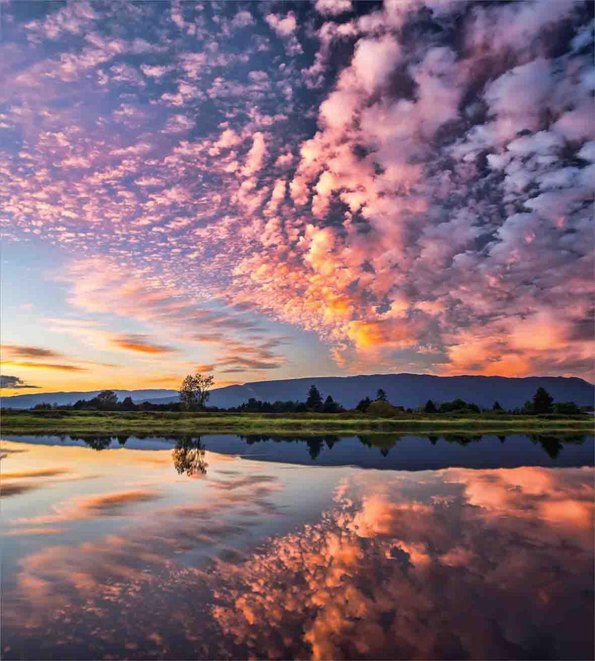 Reflections on Water View — Pattern