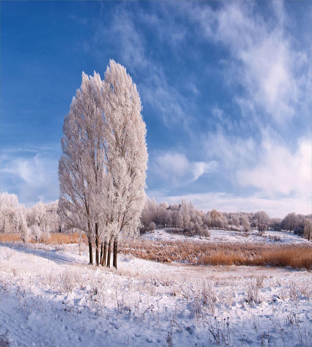 Winter Snow Landscape — Pattern