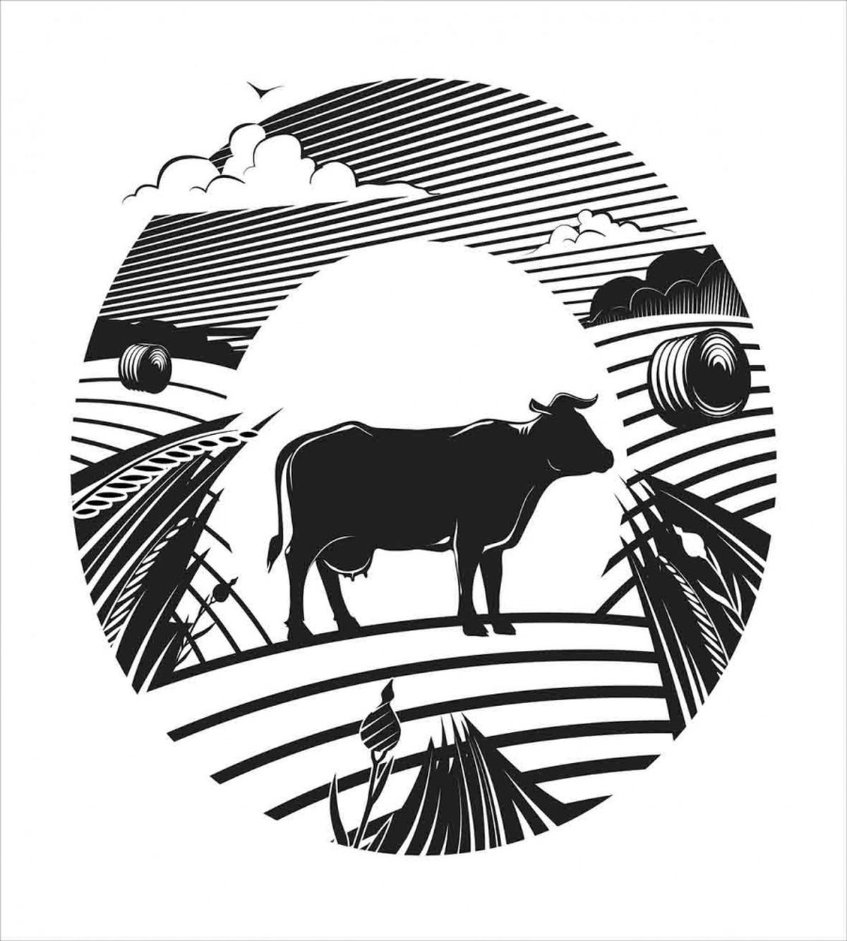 Rural Landscape Field — Pattern