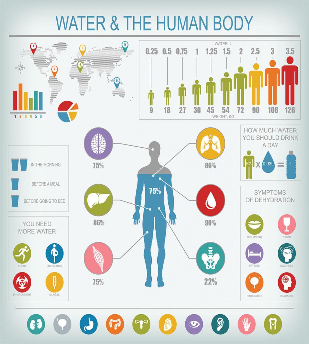 Water and Human Body Info — Pattern