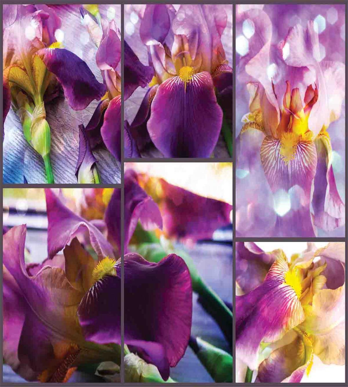 Blooming Iris Flowers — Pattern