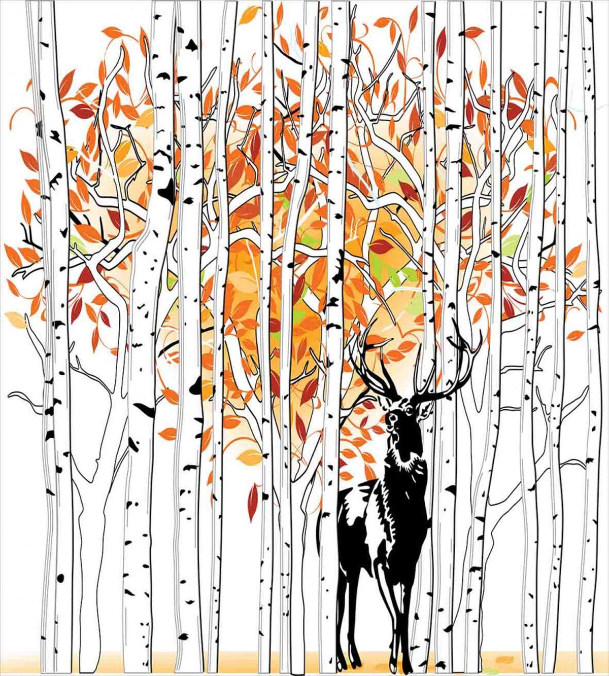 Trees Foliage Wilderness — Pattern