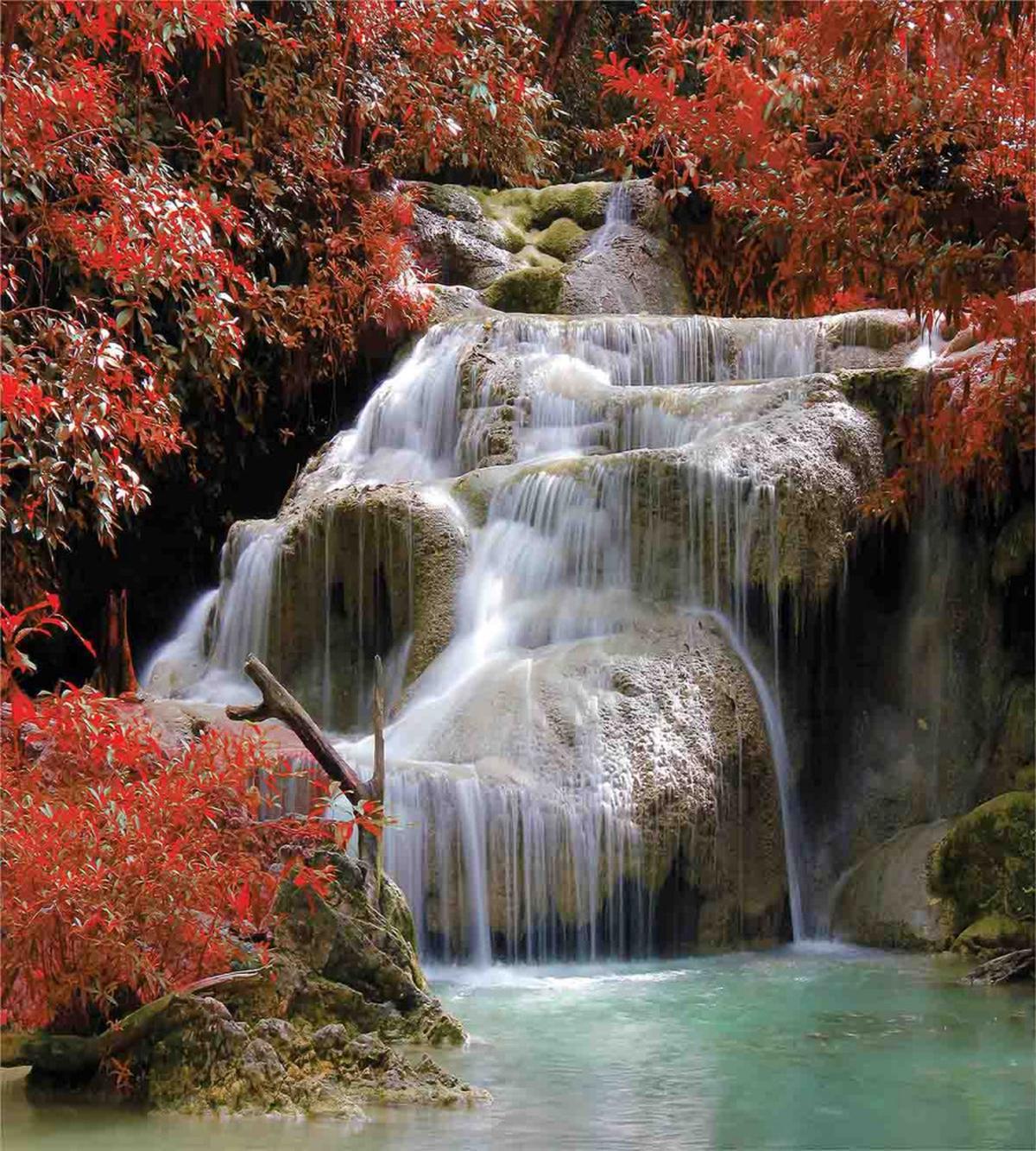 Fall Trees with Rock — Pattern