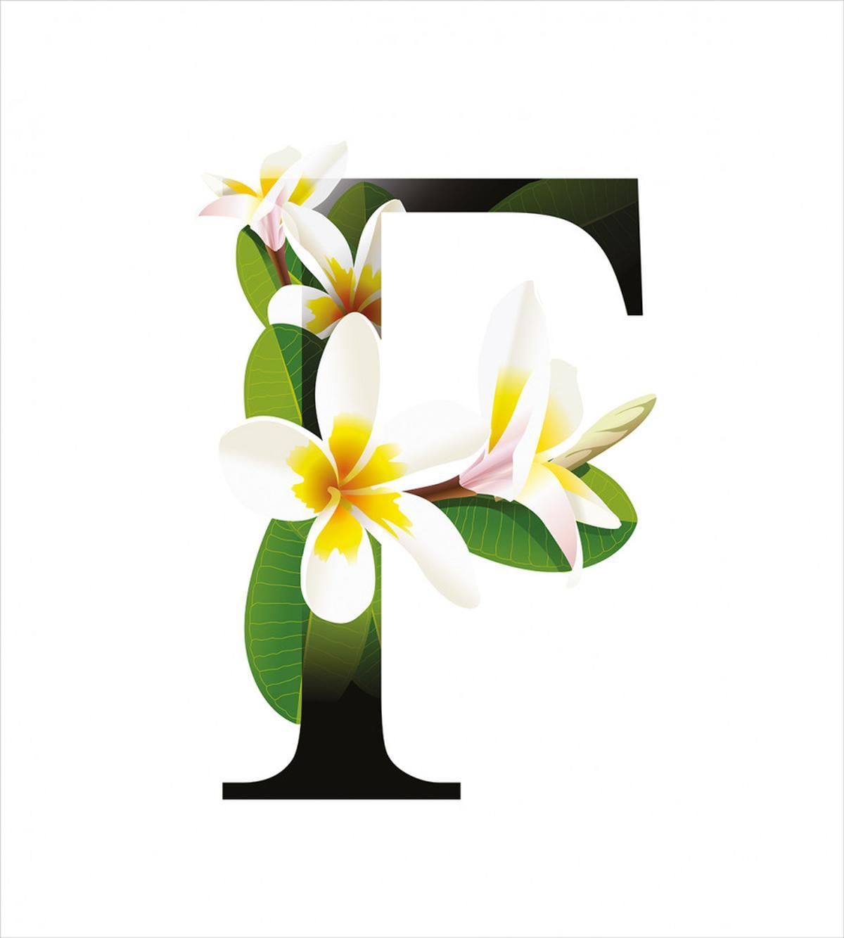 Frangipani Green Theme — Pattern