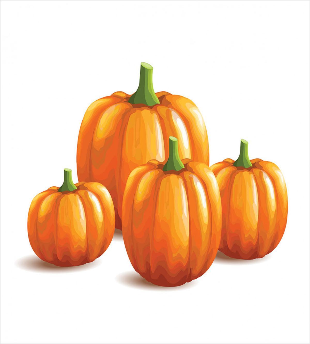 Fall Season Fruits — Pattern