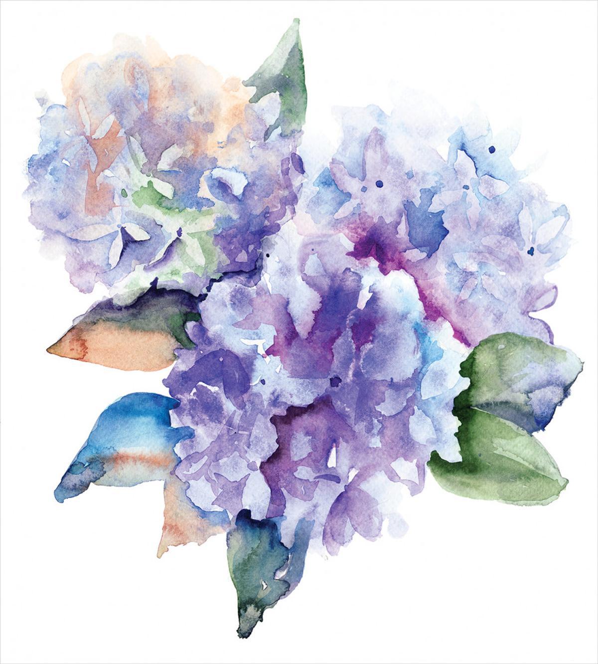 Blooming Hydrangea — Pattern
