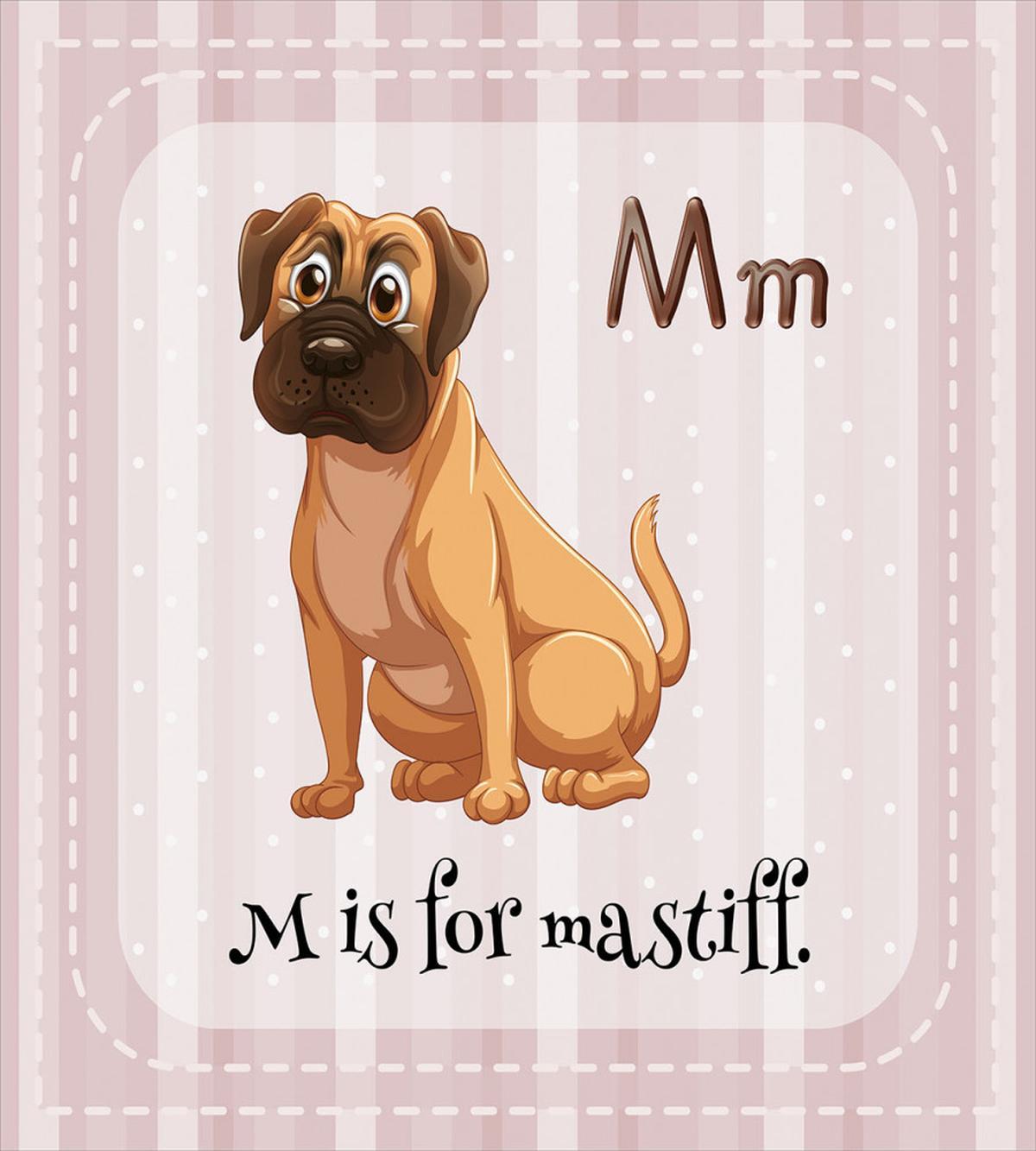 Cartoon English Mastiff — Pattern