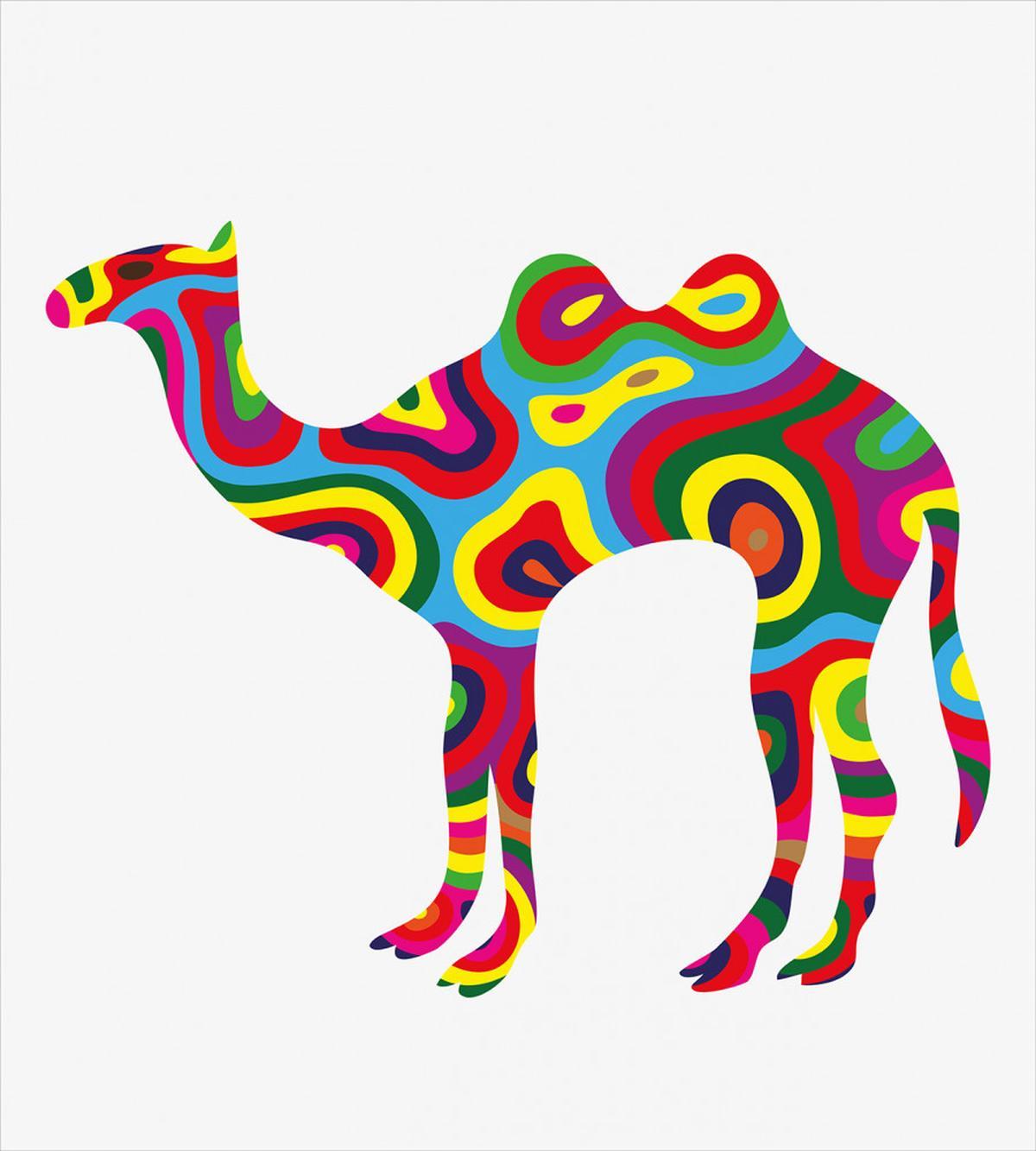 Abstract Camel — Pattern