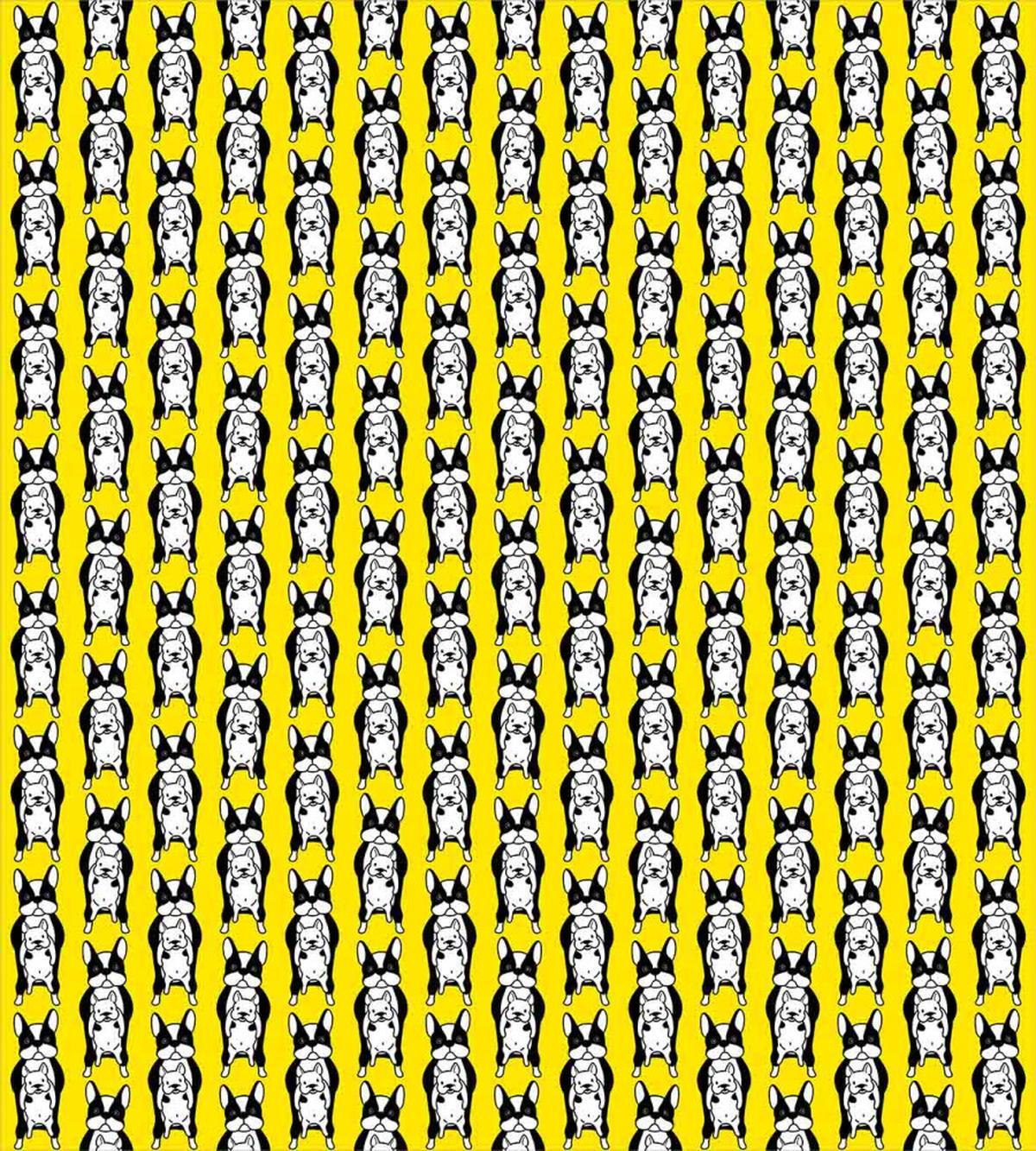 French Bulldog Puppy Cartoon — Pattern