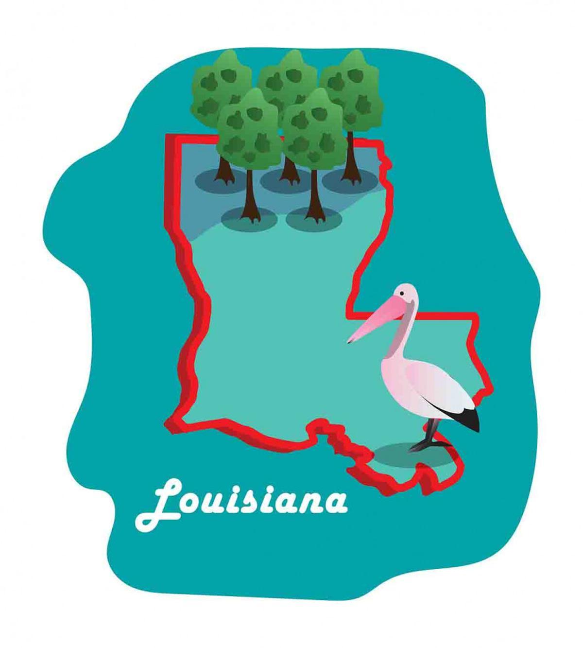 State Map with Bird — Pattern