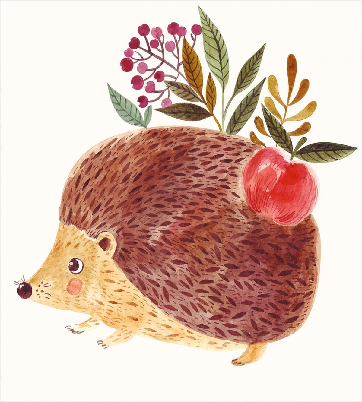Hedgehog Watercolor — Pattern