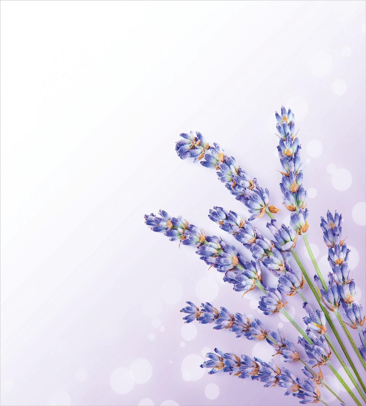 Fresh Herb Plant Posy — Pattern