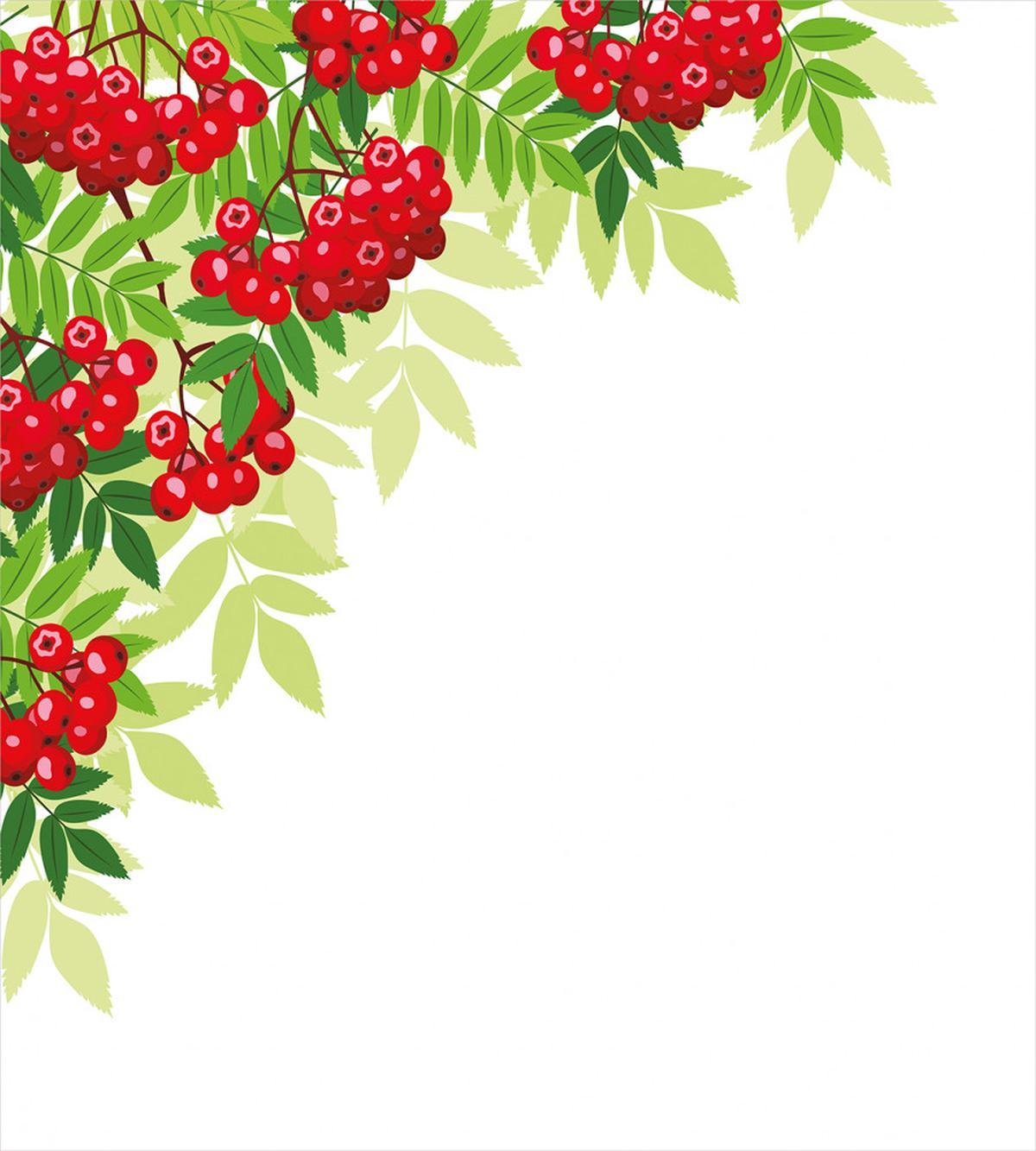 Bunch of Ripe Berries — Pattern