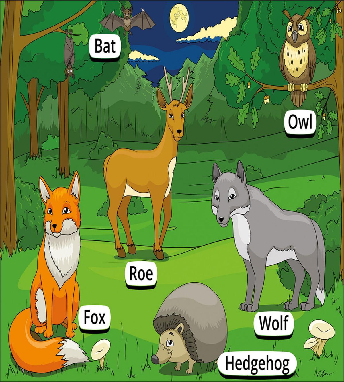 Cartoon Animals — Pattern