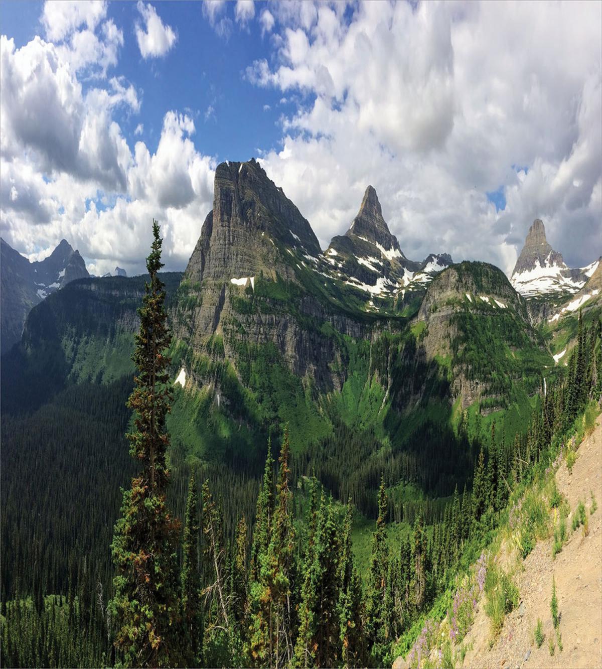 Panoramic Spring Landscape — Pattern