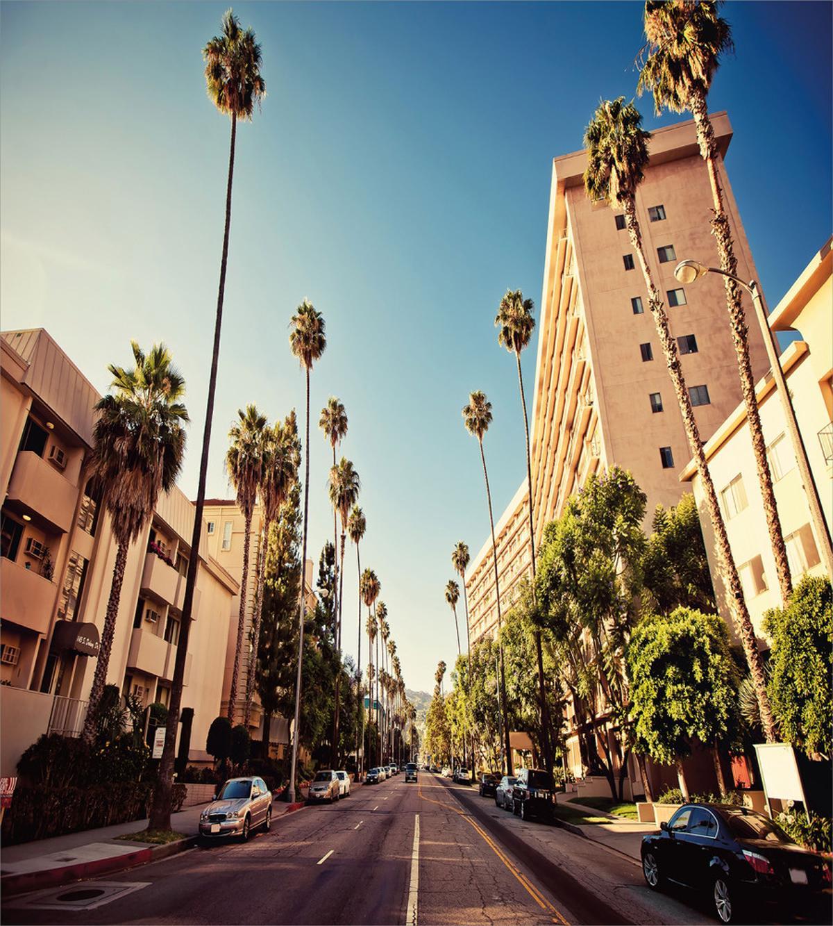 Beverly Hills Street View — Pattern