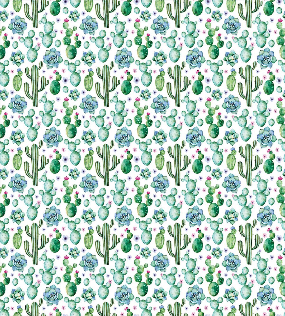 Exotic Succulents Set — Pattern