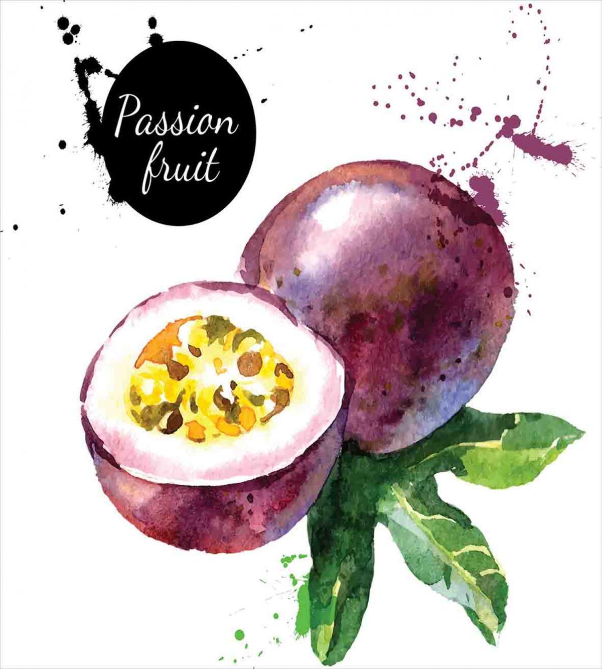 Watercolor Exotic Design — Pattern