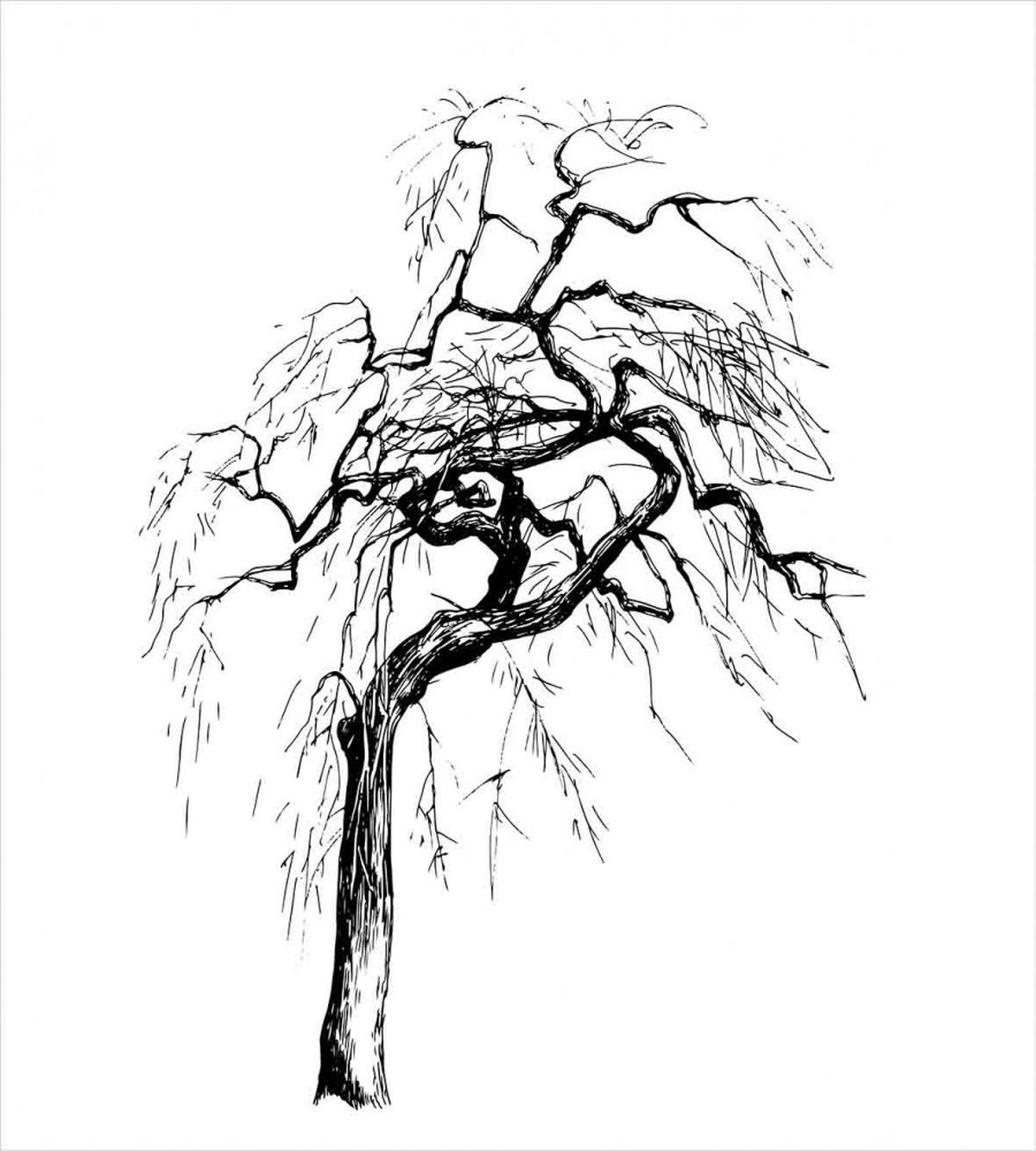 Autumn Tree Dry Branches — Pattern