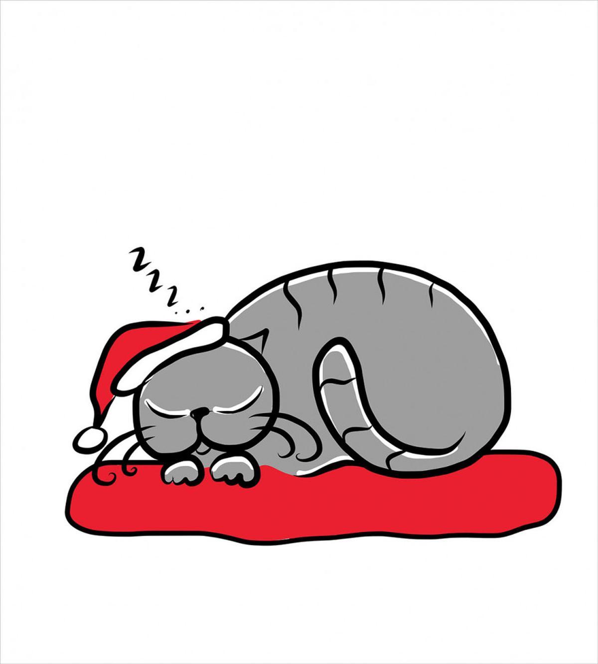 Cat with Santa Hat — Pattern