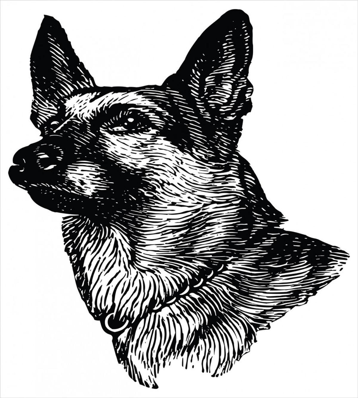 Sketchy Guardian Dogs — Pattern