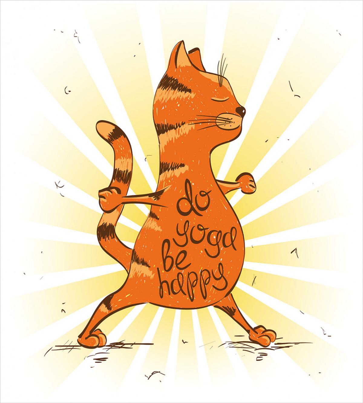 Funny Cat Words Health — Pattern