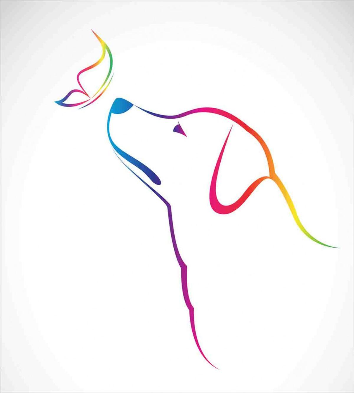 Butterfly Dog Labrador — Pattern