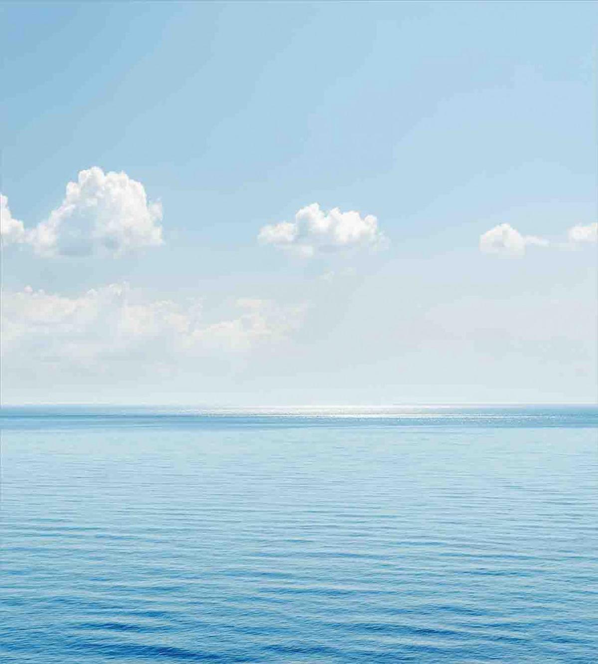 Tropical Landscape — Pattern