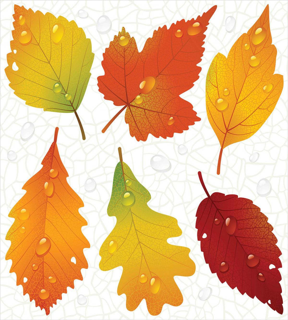 Realistic Dried Leaves Falling — Pattern