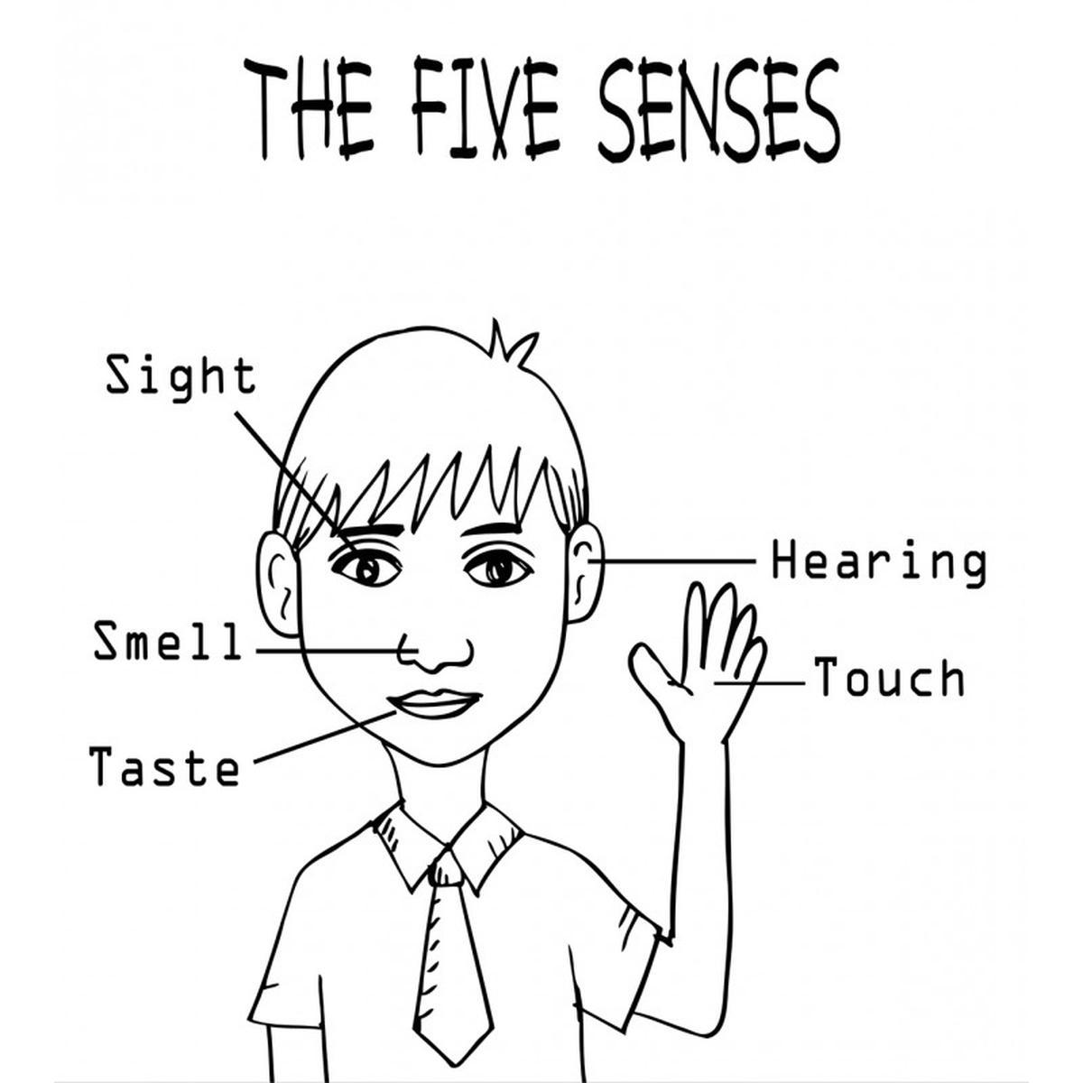 5 Senses on Boy — Pattern