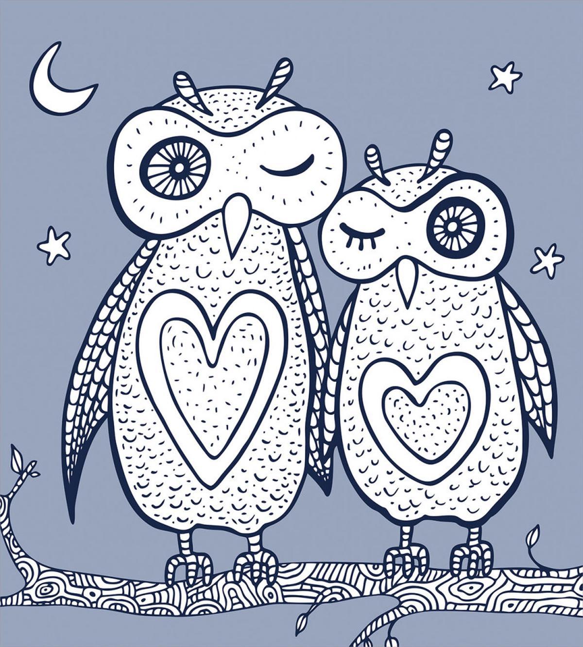Night Bird Couple Doodle — Pattern