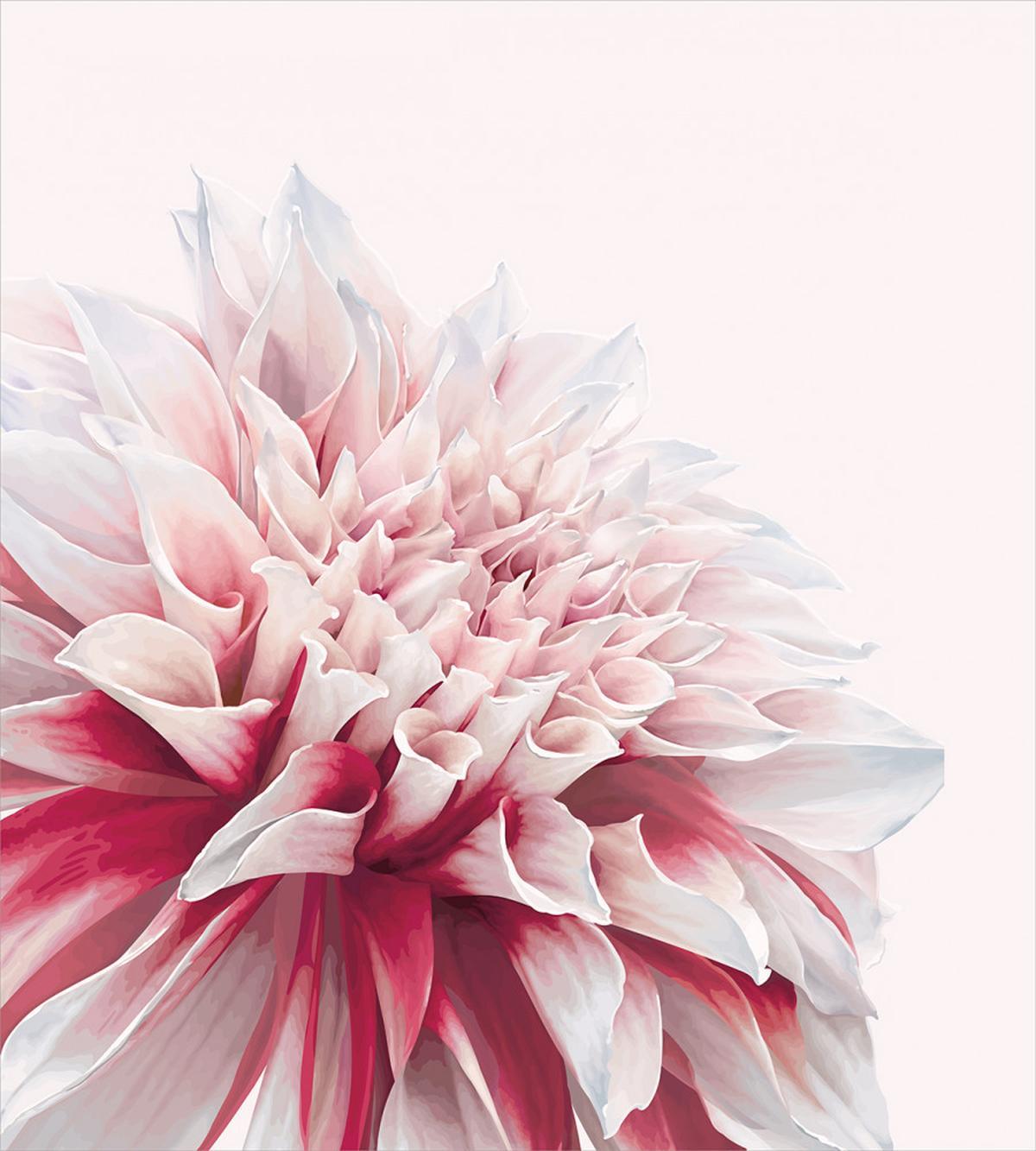Close up Floral Blossom — Pattern