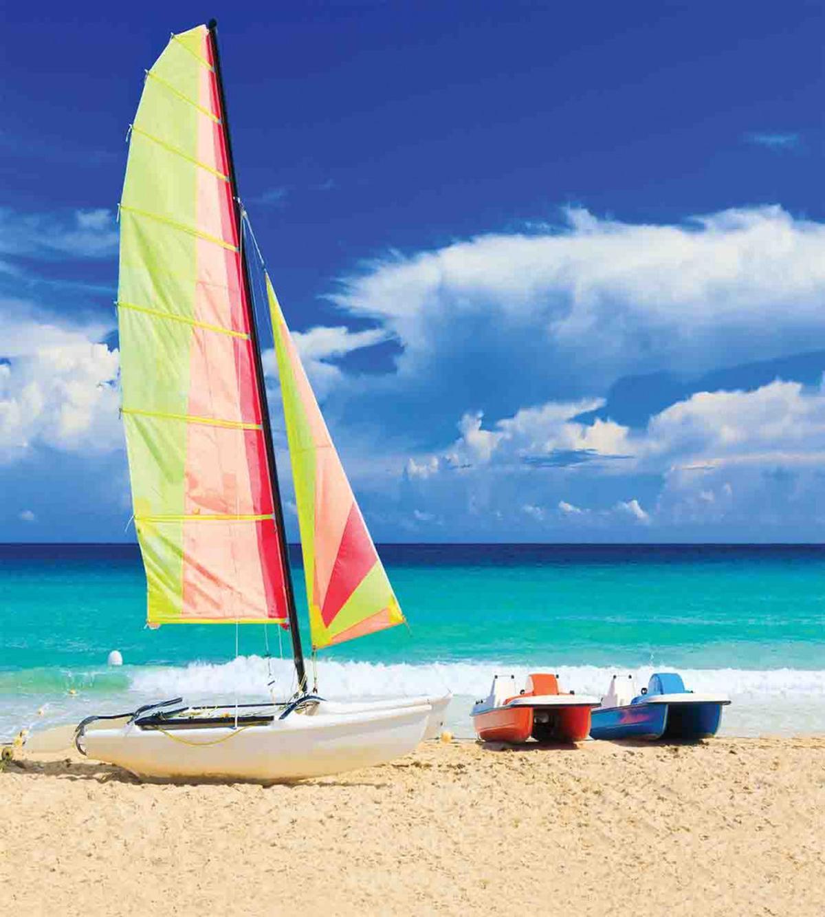 Ocean Sailing Exotic — Pattern