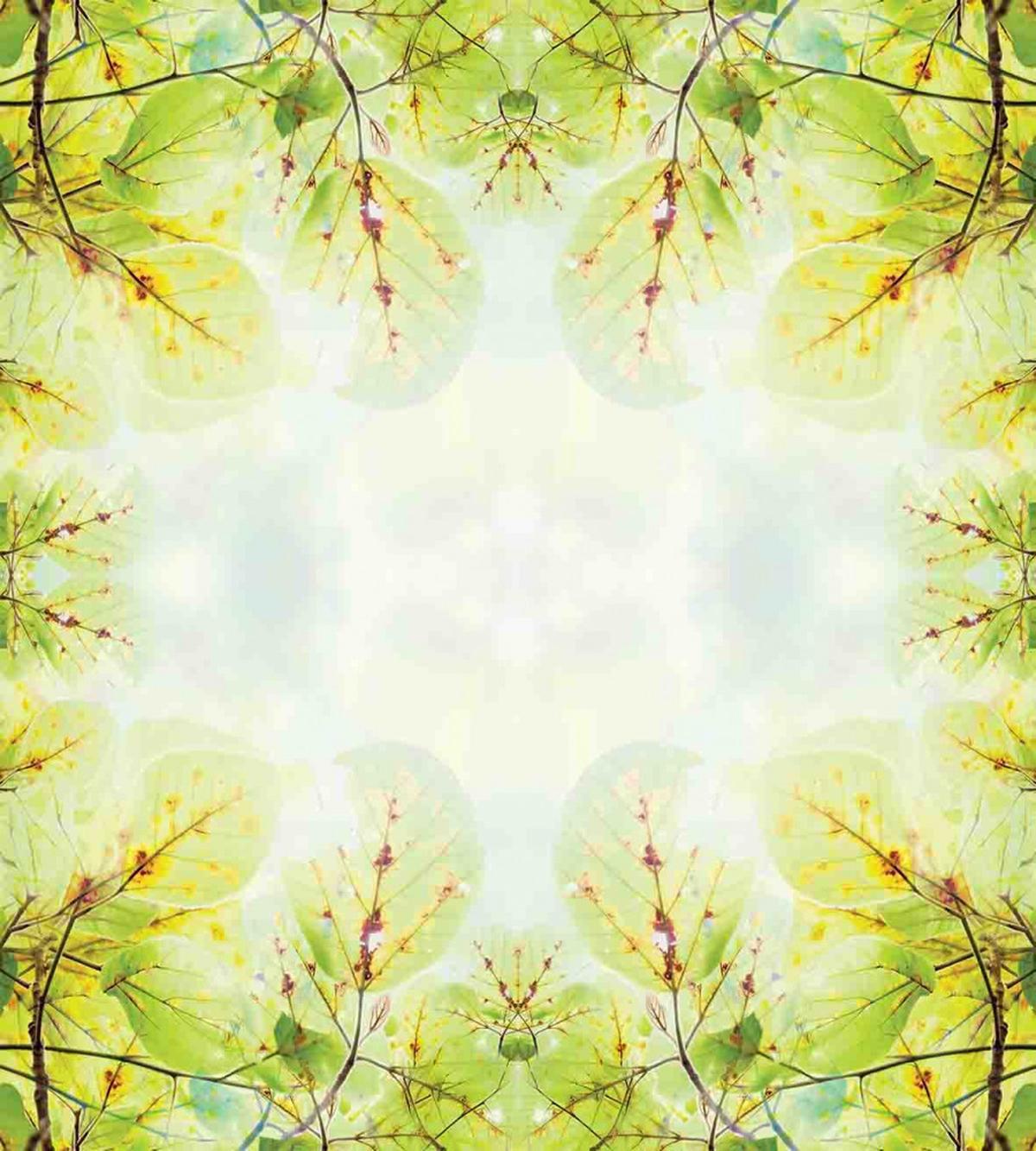 Forest in Vibrant Colors — Pattern