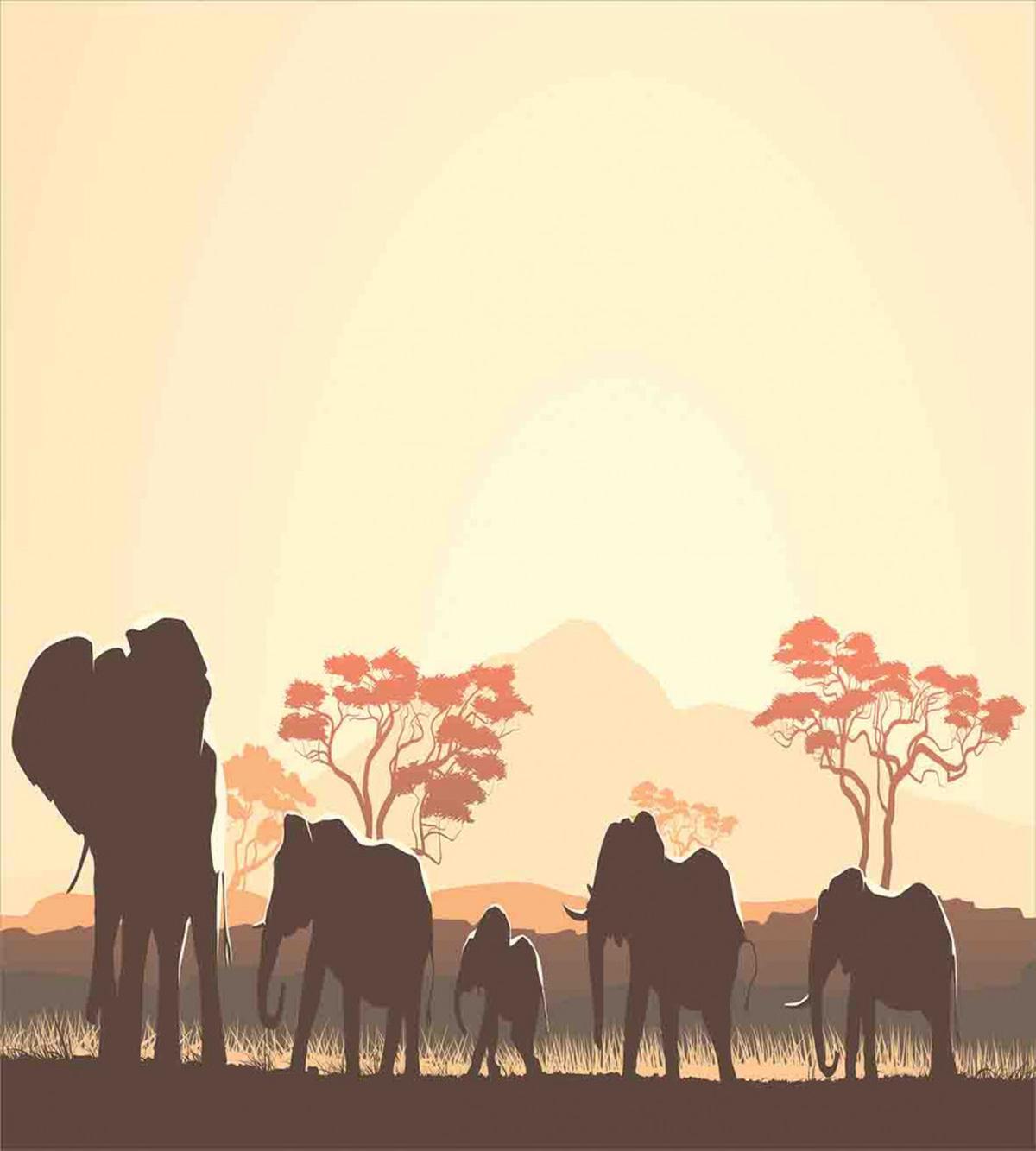 Safari Animal Elephant — Pattern