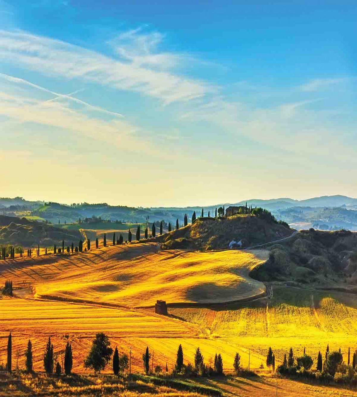 Italy Farmland Rural — Pattern