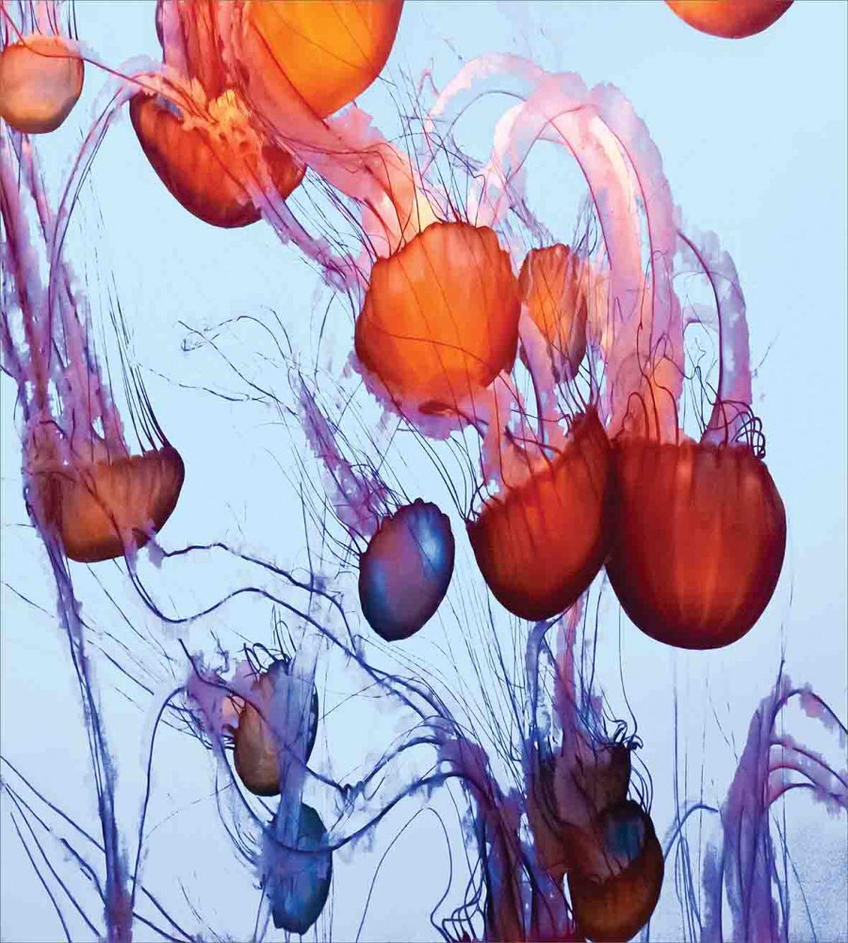 Jellyfish in the Ocean — Pattern