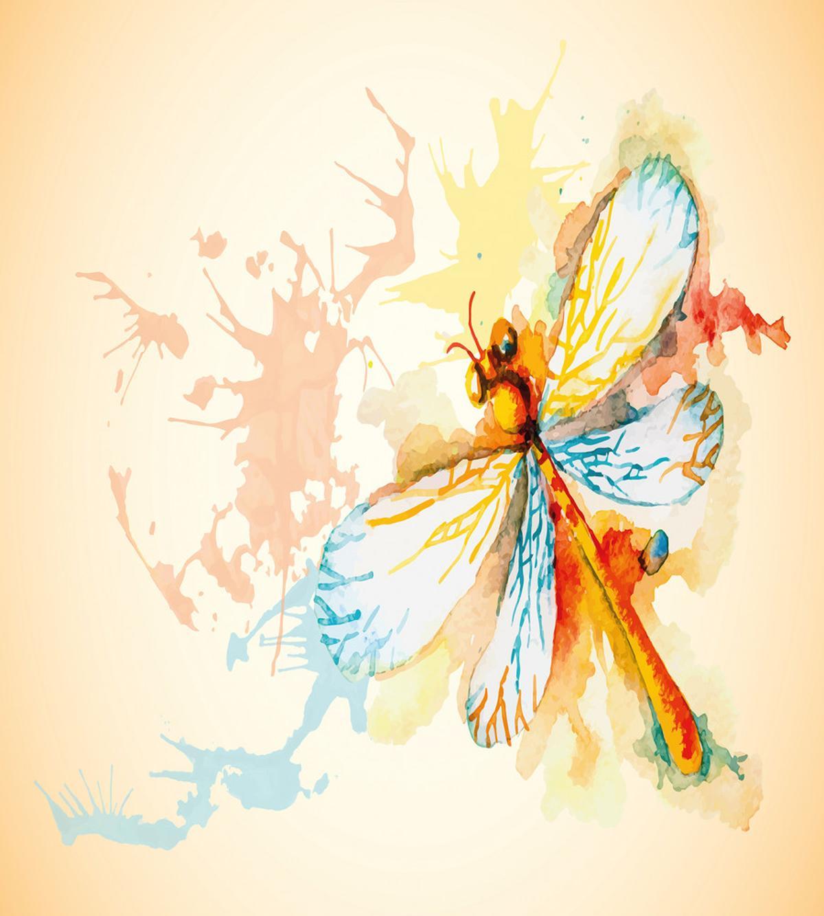 Dragonfly Moth Bug — Pattern