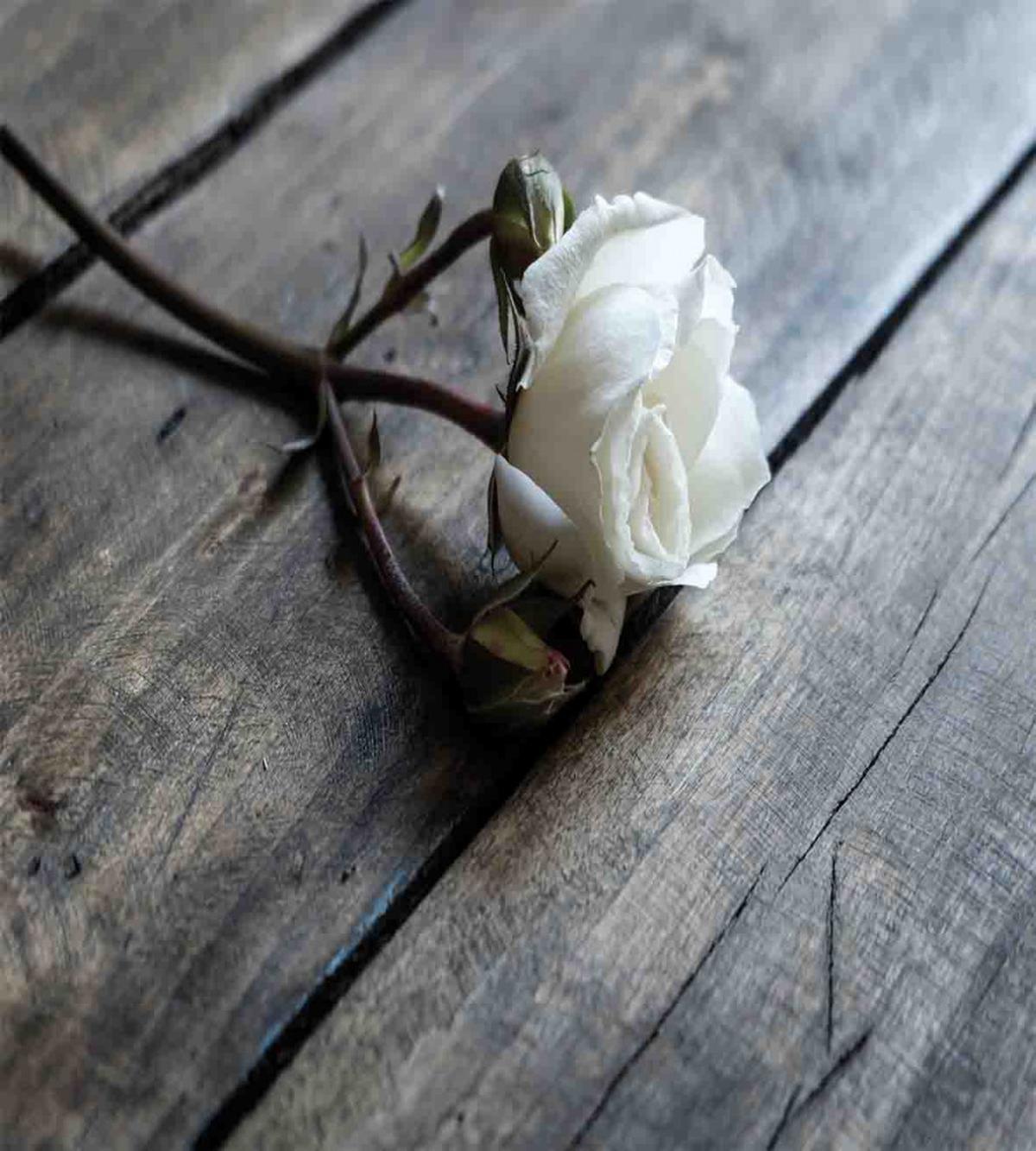 Romantic Flower Rustic Table — Pattern