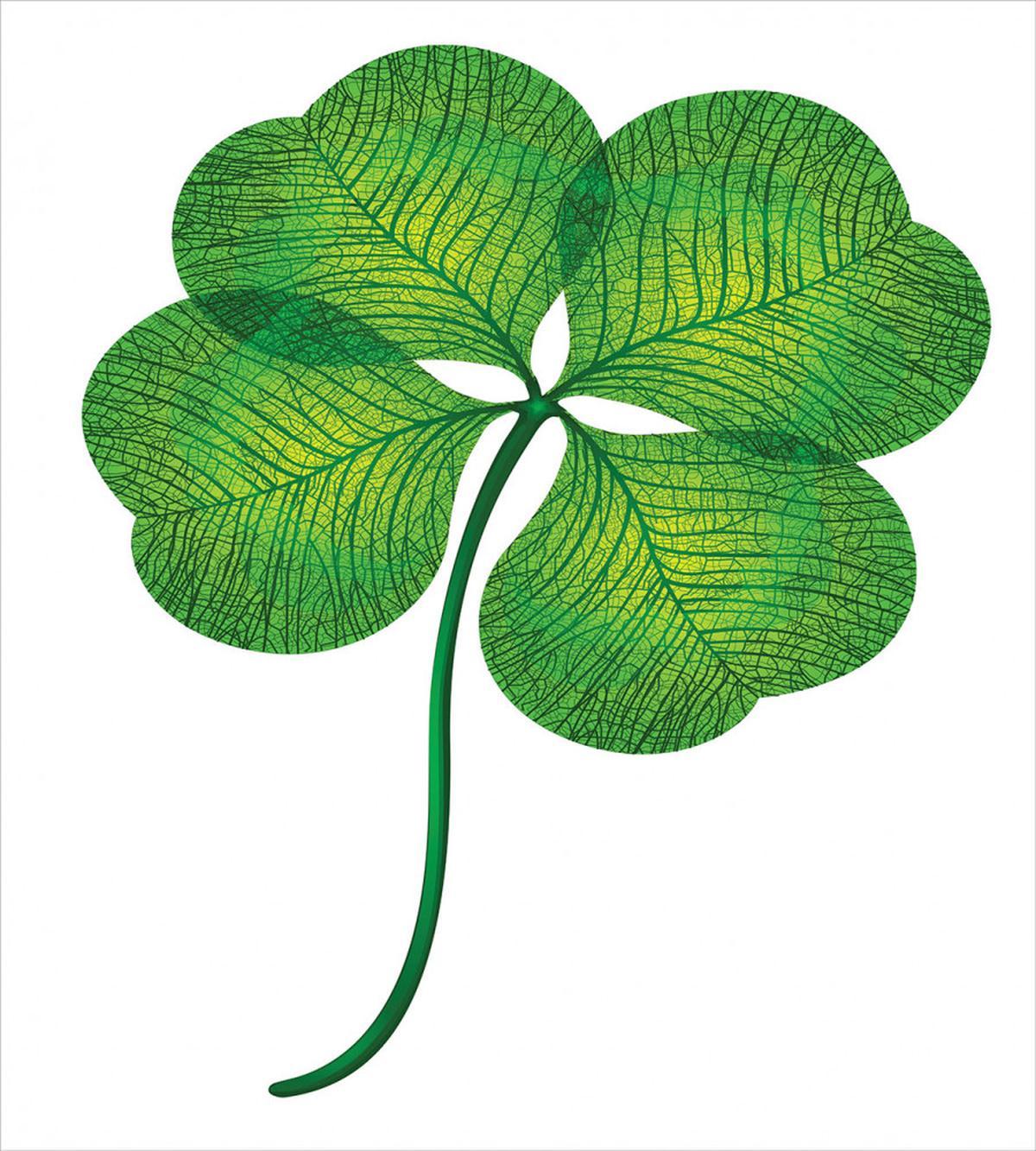 Detailed 4 Leaf Shamrock — Pattern