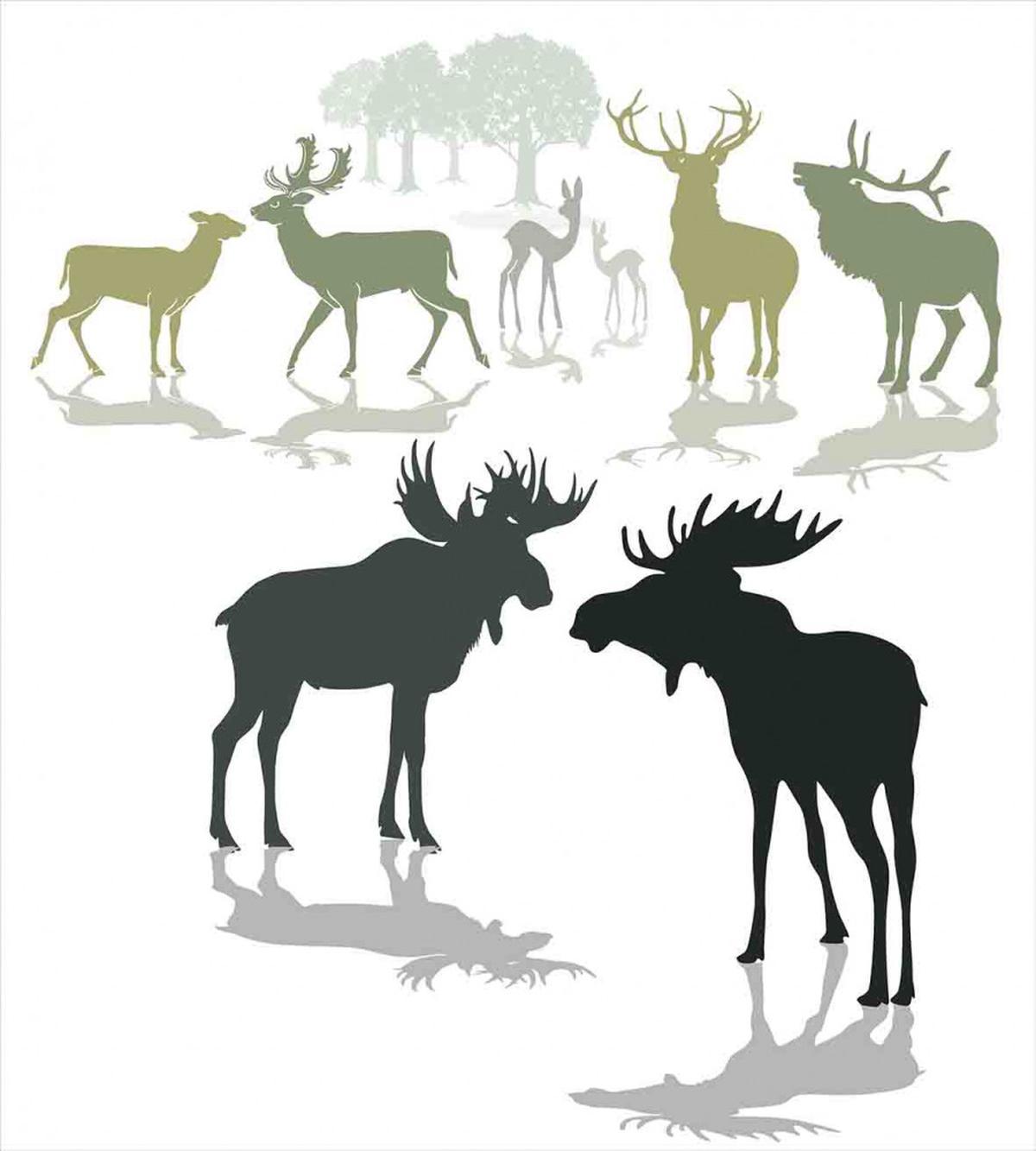 Elk Deer Fawn Forest — Pattern