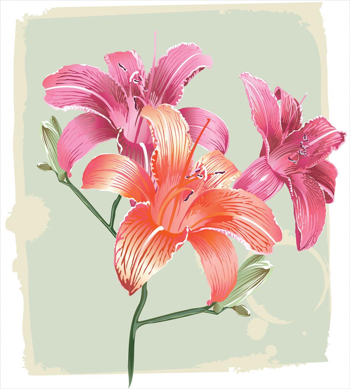 Lily Flora Bloom — Pattern