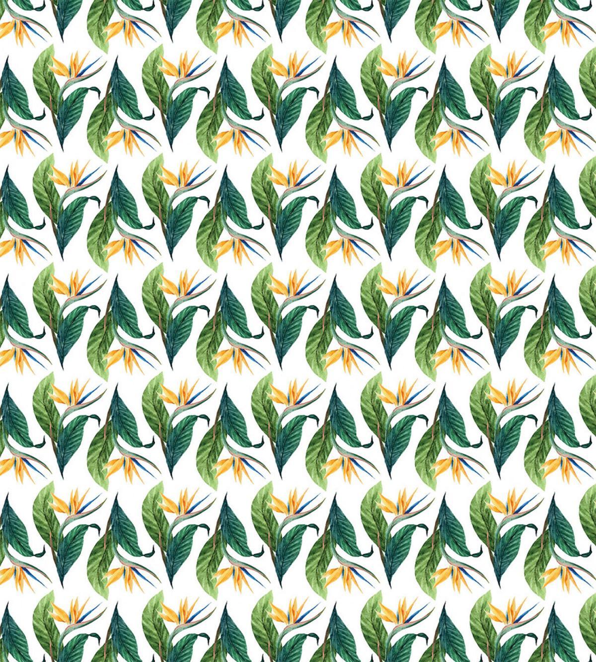 Bird of Paradise Flower Art — Pattern