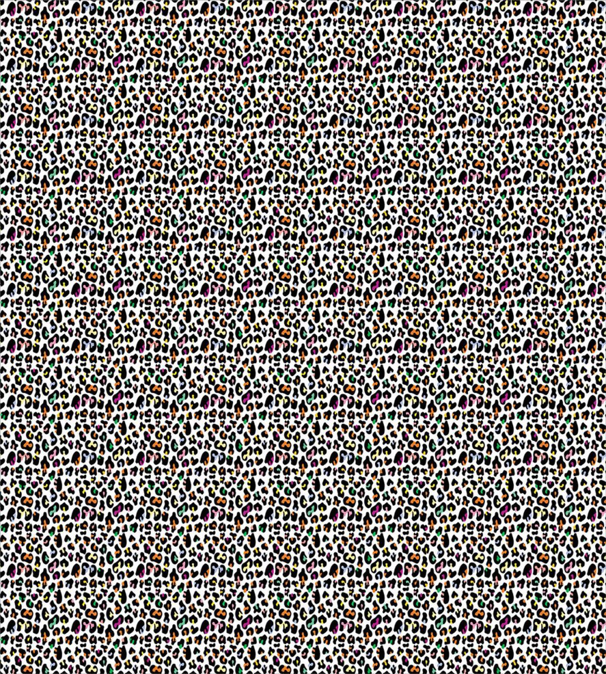 Modernized Cat Skin — Pattern