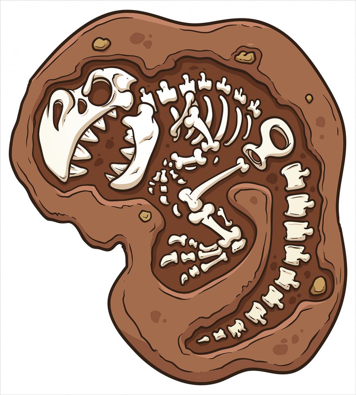 T-Rex Fossil in Ground — Pattern