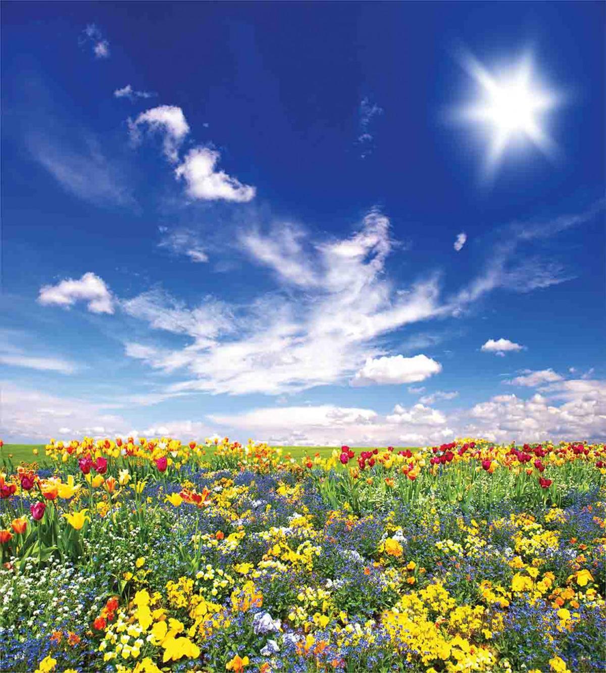 Flowers Cloudy Sky — Pattern