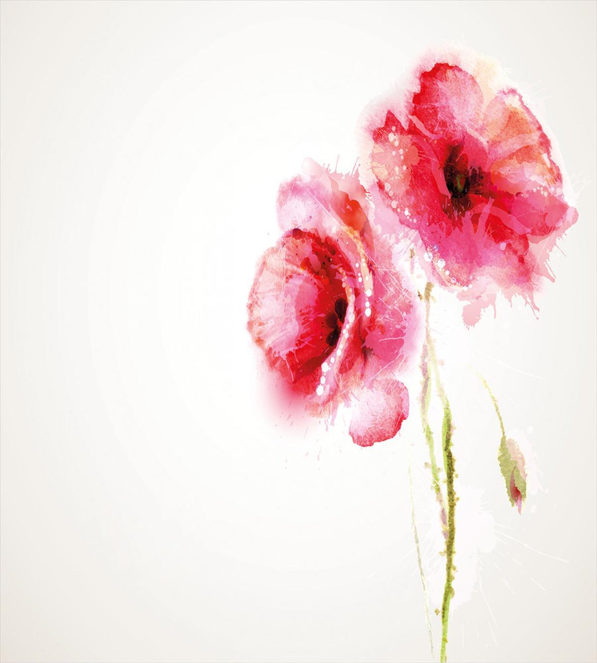 Red Poppies Vivid Spring — Pattern